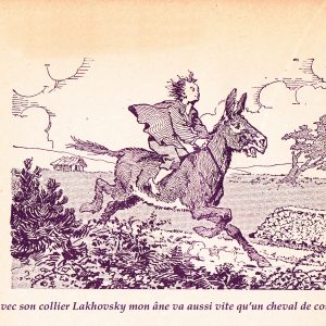 collier 7 métaux de type Lakhovsky pour cheval